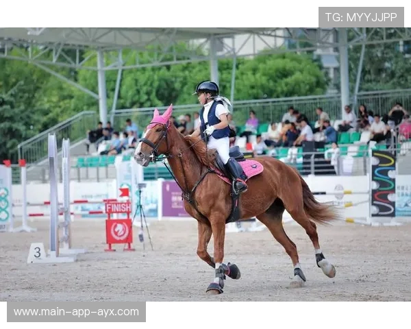 马术场地新铺沙料获国际认证,比赛更安全平稳 马术场地新铺沙料获国际认证,比赛更安全平稳