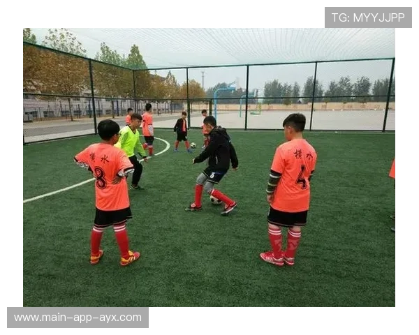 国王训练观察：外线拉扯后的二次进攻被验证有效