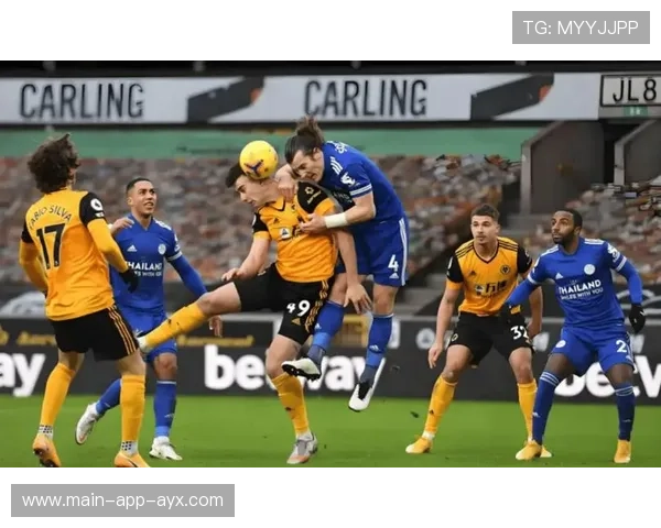 费耶诺德比洛扑救节奏快