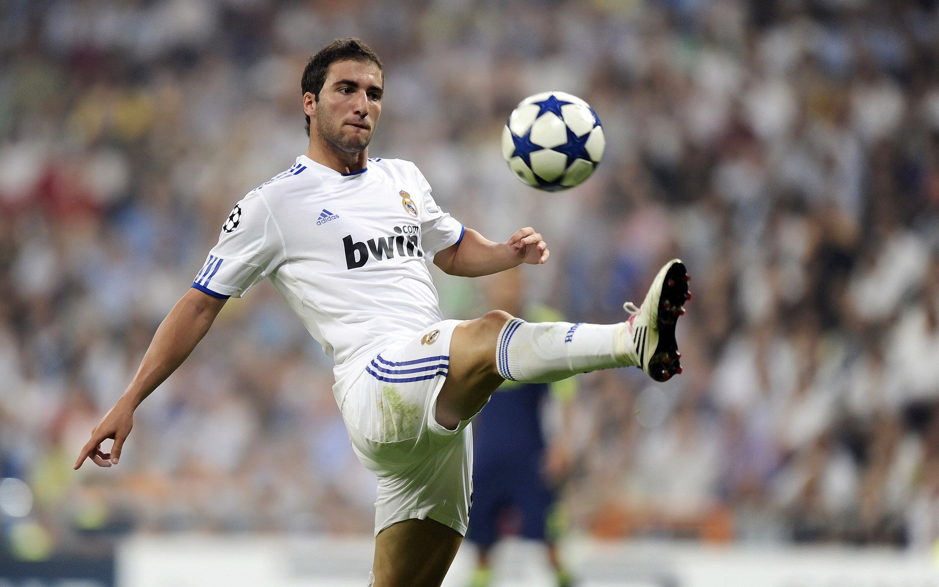 “未来青训”项目精细化发展目标逐步实现，行业迈入高质量发展新阶段